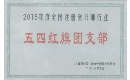 2015年度全国注册会计师行业“五四红旗团支部”称号