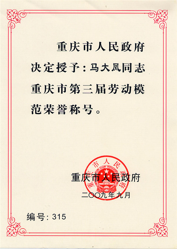 马大凤同志重庆市第三届劳动模范荣誉 (2)