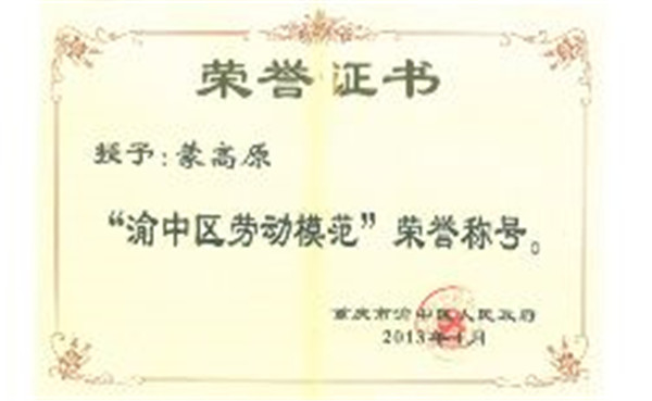 蒙高原副所长荣获“渝中区劳动模范”荣誉称号